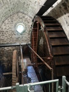 IMG_20210715_093624 1
