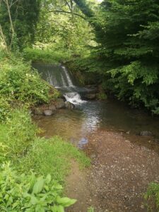 IMG_20210715_093729 1