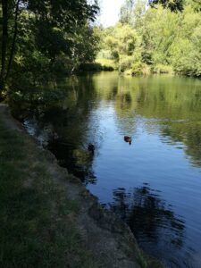 IMG_20220806_145103